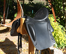 Bild für Sattelbeurteilung - Sattelanpassung